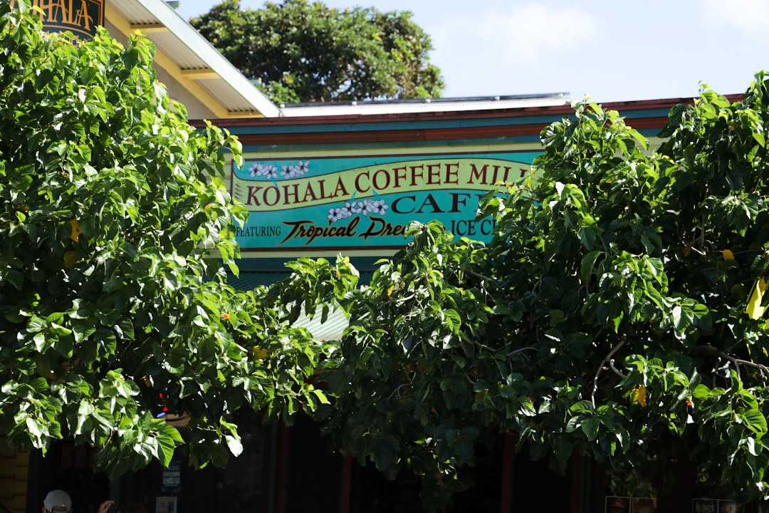 Photo McDonalds, Fair Trade coffee