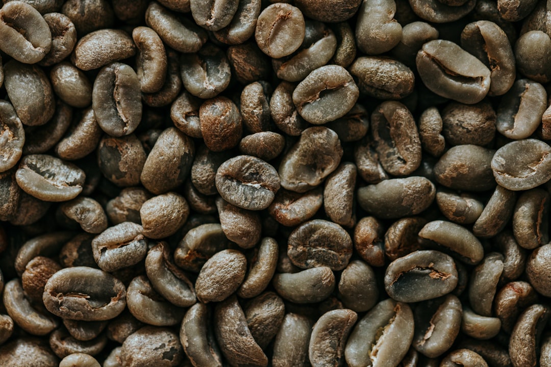 Photo decaffeinate organic coffee beans