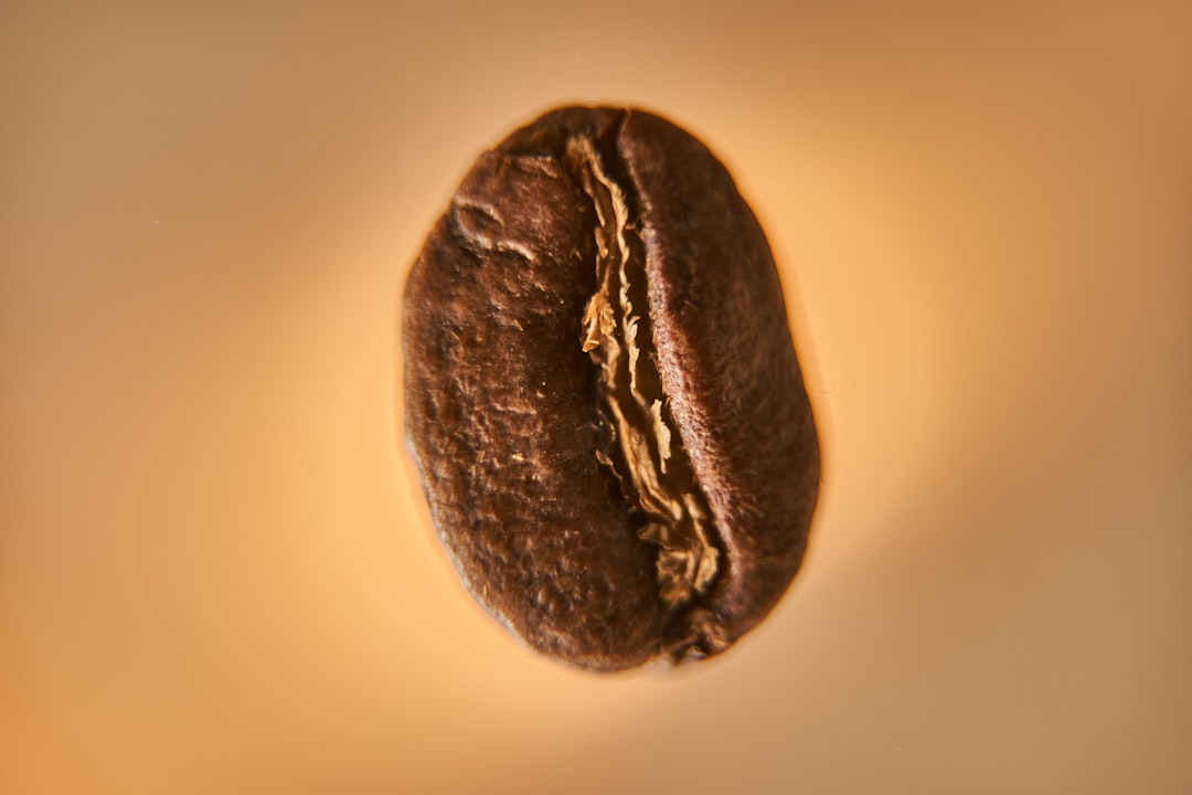 Photo single origin coffee