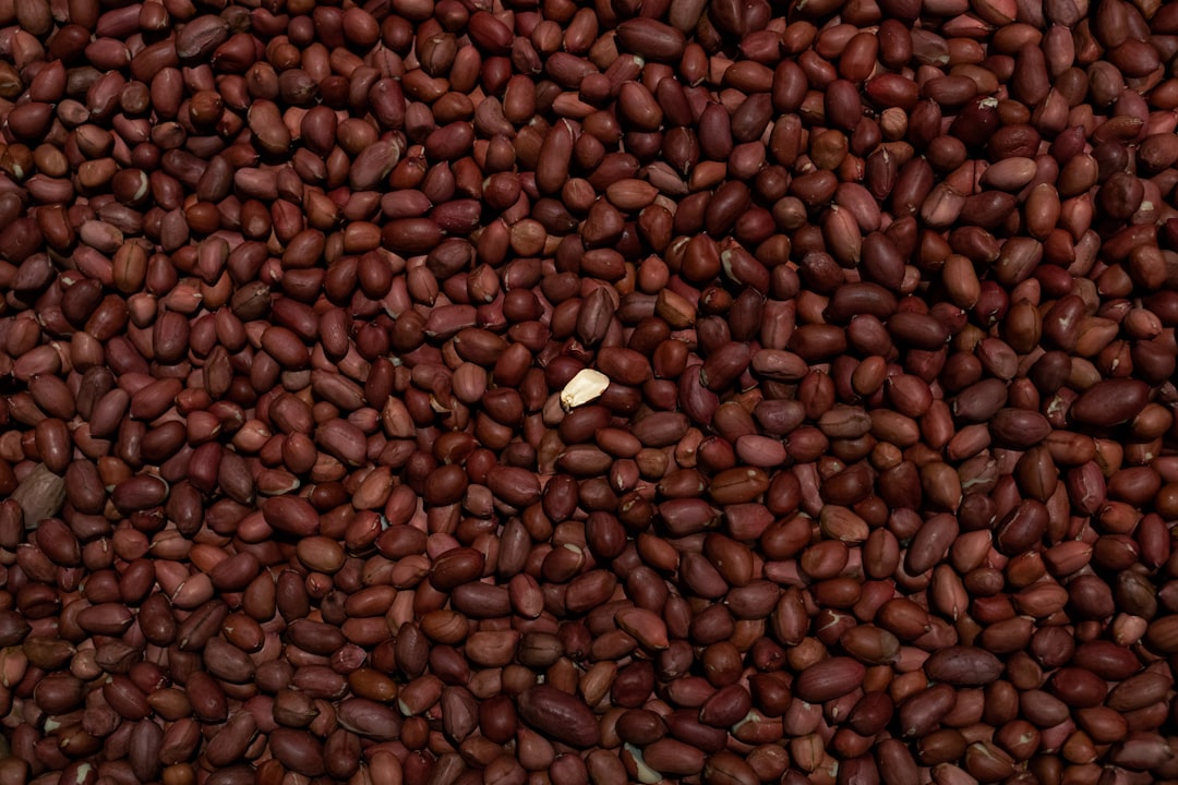 Photo single-origin beans organic